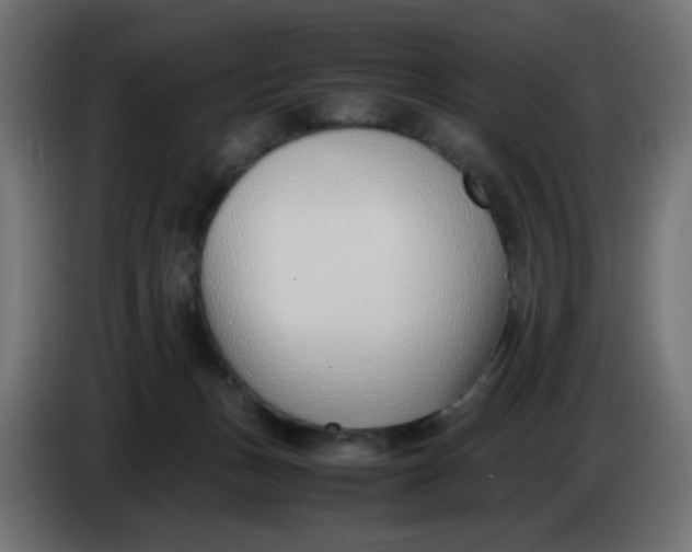 X0000086040175200704131942