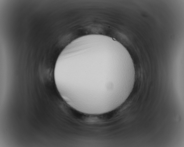 X0000086040177200704131942