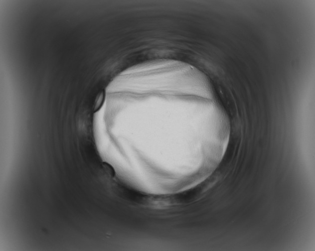 X0000086040181200704131942