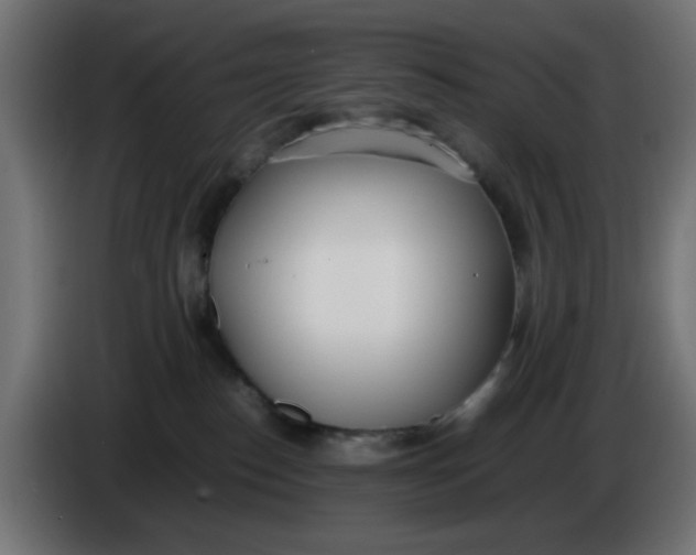 X0000086040186200704131942