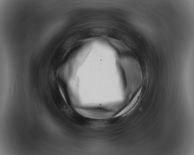 X0000086040191200704131943