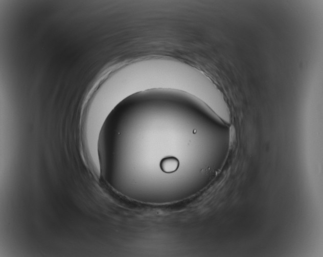 X0000086040195200704131942
