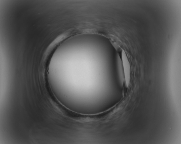 X0000086040197200704131942