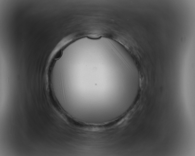 X0000086040198200704131942