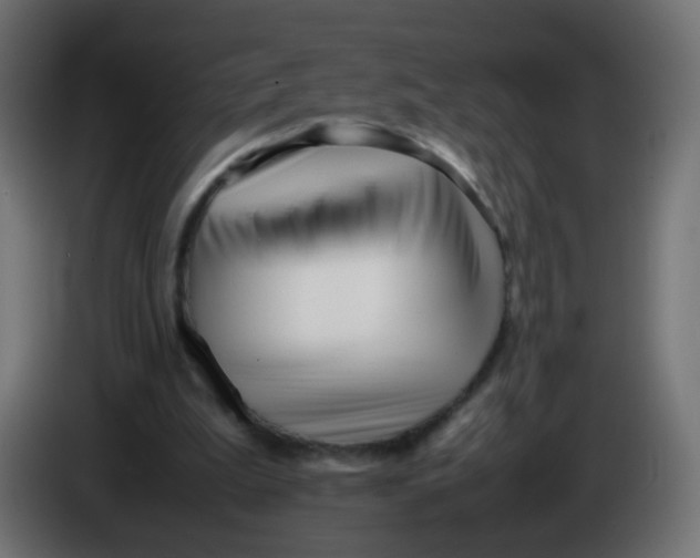 X0000086040199200704131942