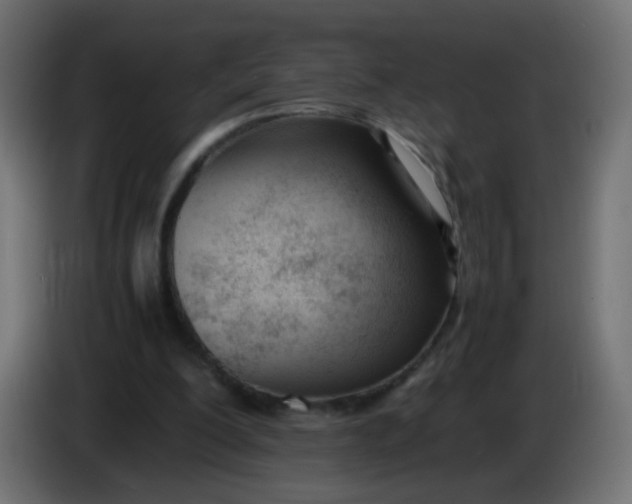 X0000086040200200704131942