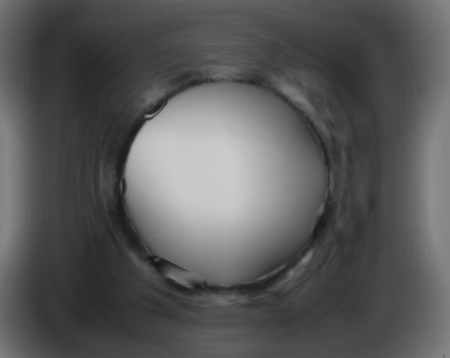 X0000086040201200704131942