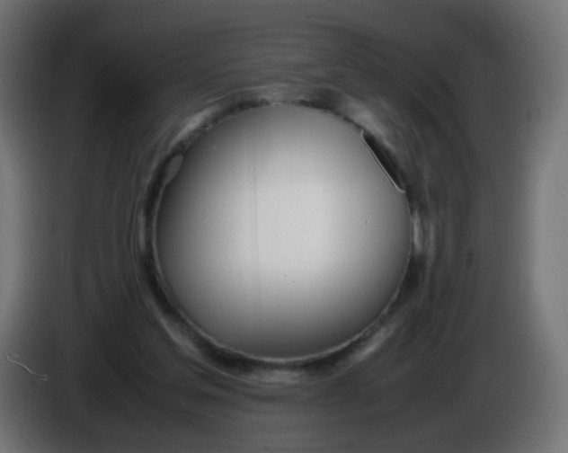X0000086040205200704131942