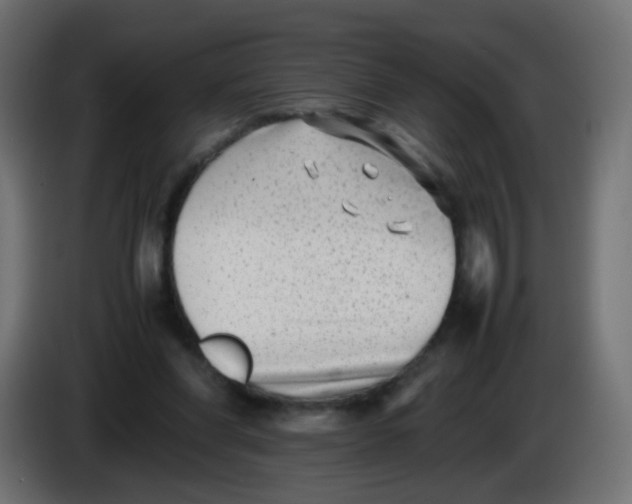 X0000086040206200704131942