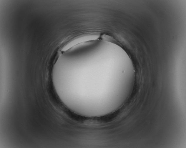 X0000086040211200704131942