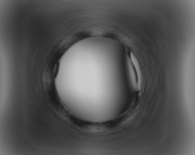 X0000086040215200704131942