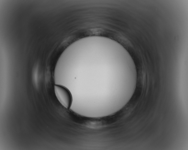 X0000086040220200704131941