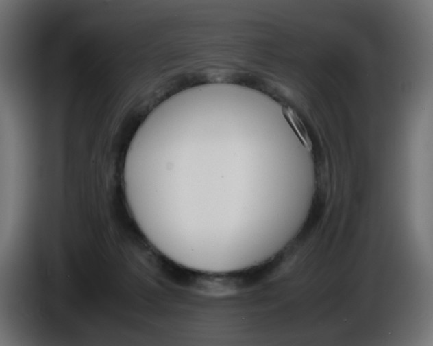 X0000086040221200704131941