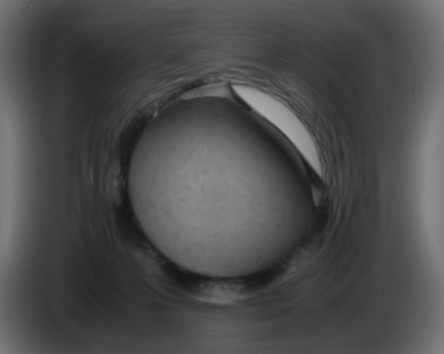 X0000086040223200704131941