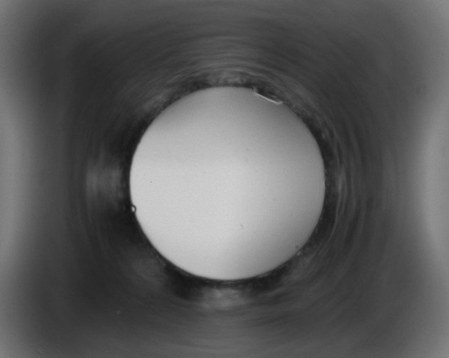 X0000086040224200704131941