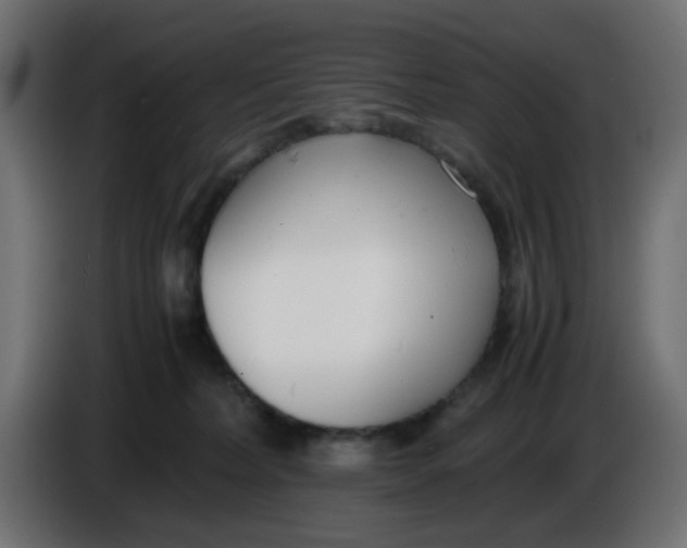 X0000086040228200704131941