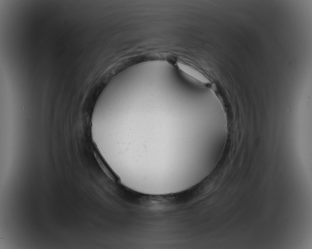 X0000086040229200704131941