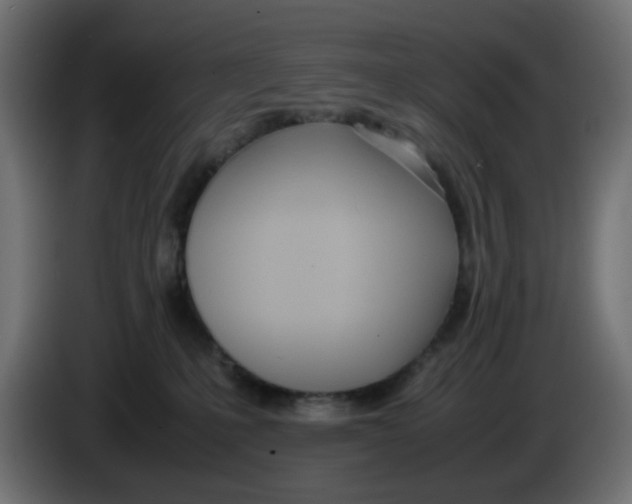 X0000086040231200704131941