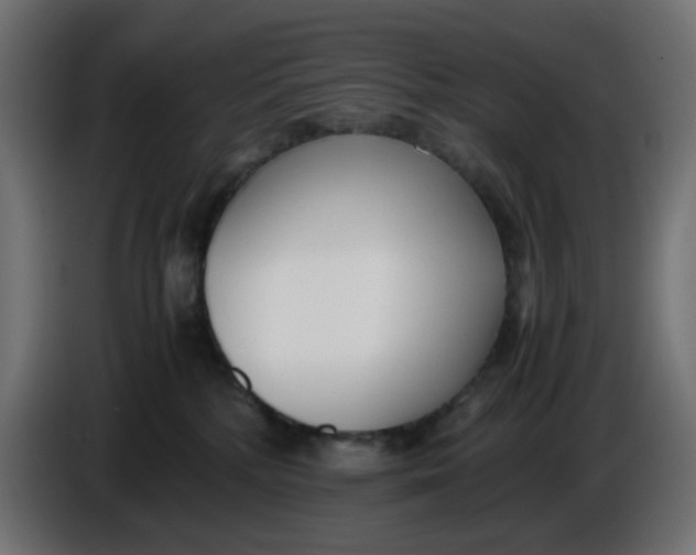 X0000086040232200704131941