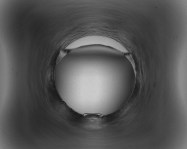 X0000086040233200704131941