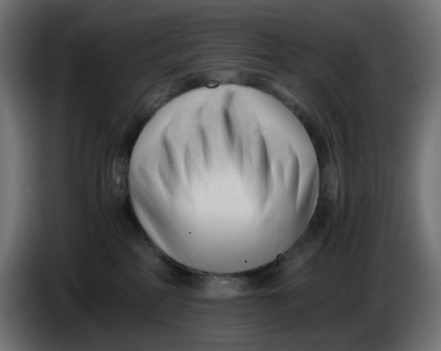 X0000086040234200704131941