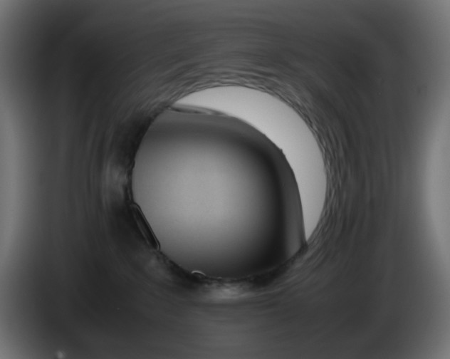 X0000086040235200704131941