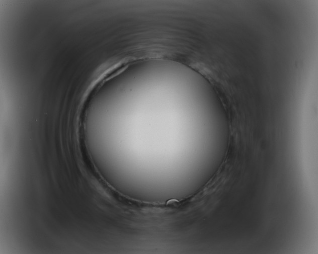 X0000086040242200704131941