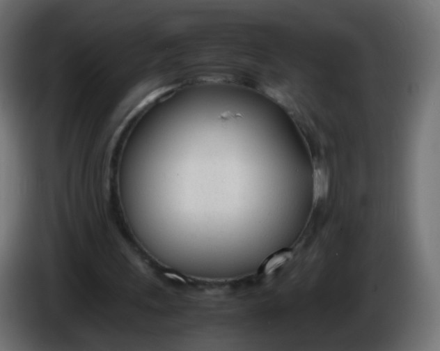 X0000086040243200704131941