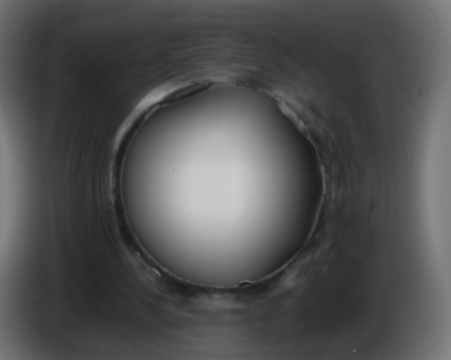 X0000086040244200704131941