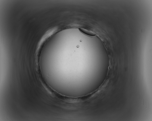 X0000086040245200704131941