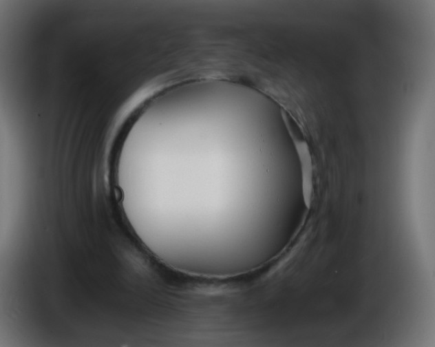 X0000086040246200704131941