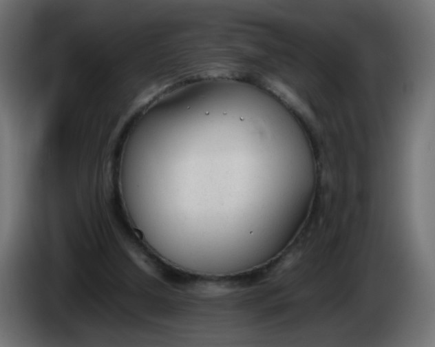 X0000086040250200704131941