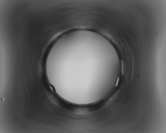 X0000086040252200704131941
