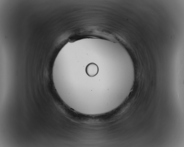 X0000086040256200704131941