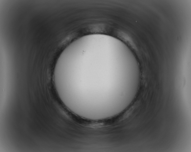 X0000086040257200704131941