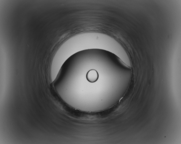 X0000086040260200704131941