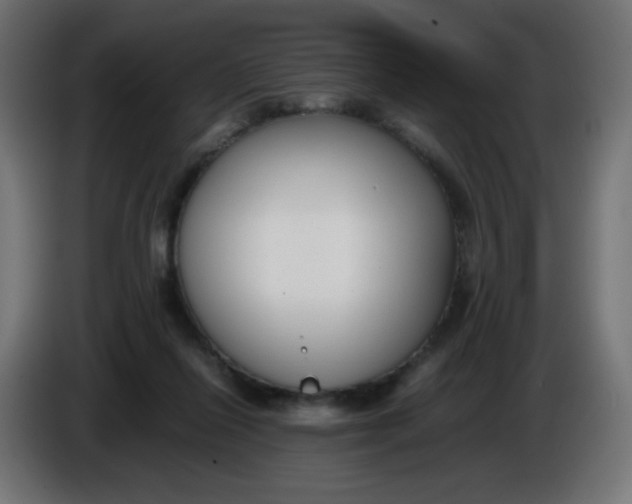 X0000086040262200704131941