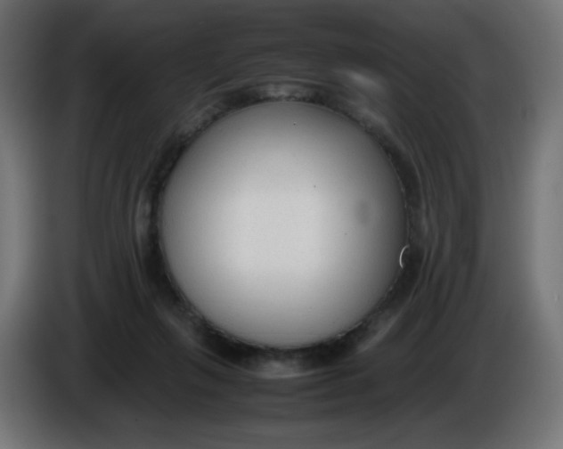 X0000086040263200704131941