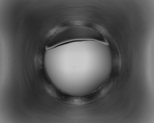 X0000086040264200704131941