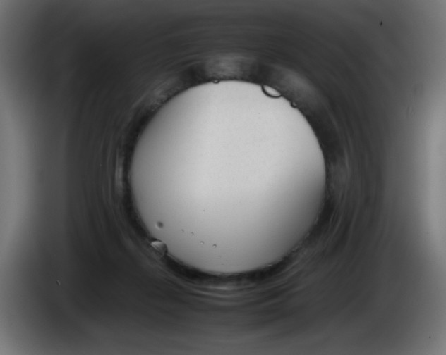 X0000086040267200704131941