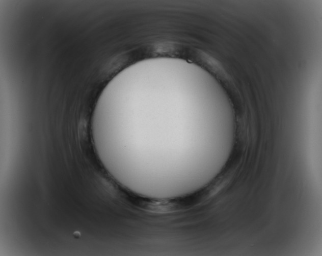 X0000086040269200704131941