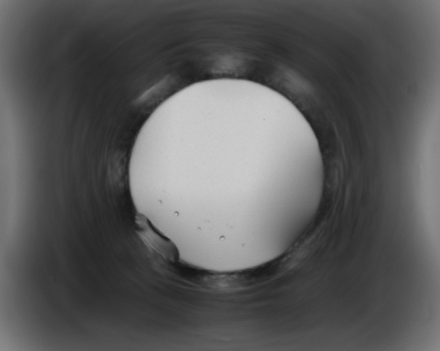 X0000086040273200704131941