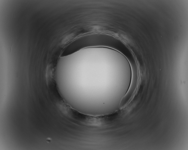 X0000086040276200704131941