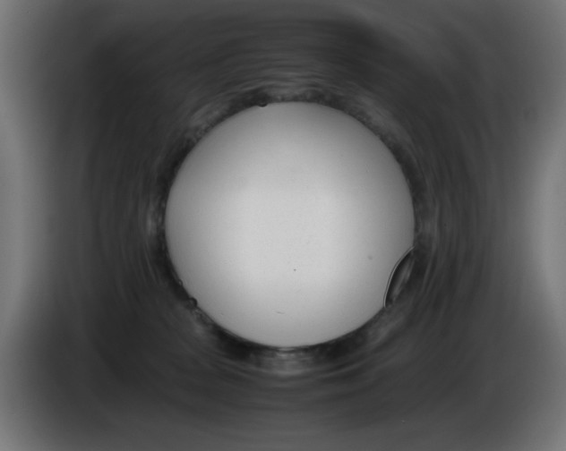 X0000086040277200704131941