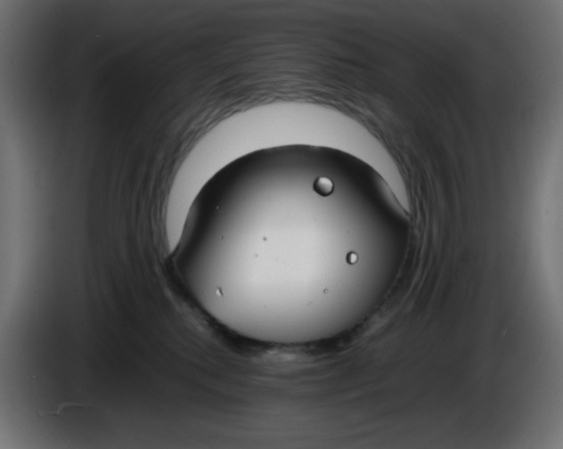 X0000086040280200704131941