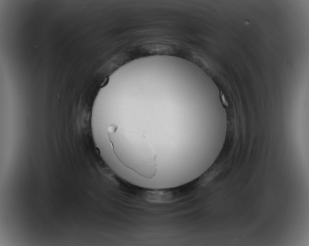 X0000086040281200704131941