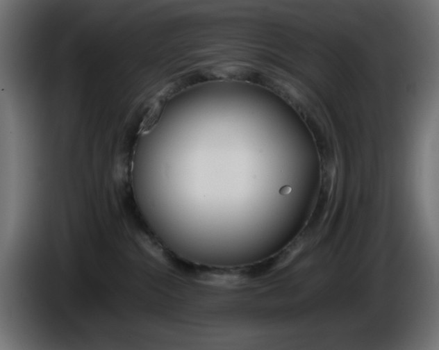 X0000086040284200704131941