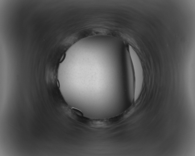 X0000086040285200704131941