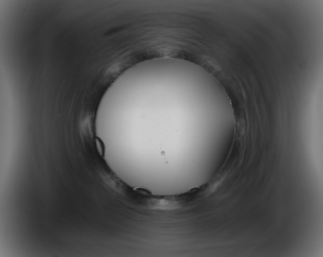 X0000086040286200704131941