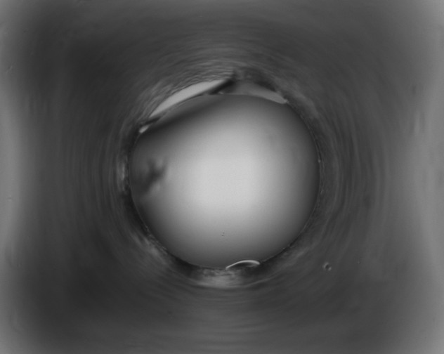 X0000086040288200704131941